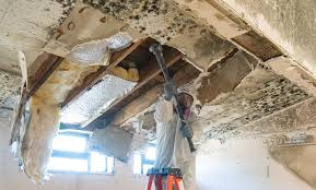 Best Commercial Mold Inspection  in Lake Forest, CA